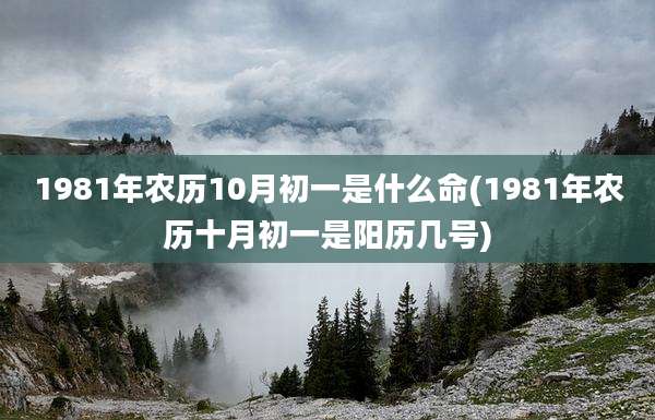 1981年农历10月初一是什么命(1981年农历十月初一是阳历几号)
