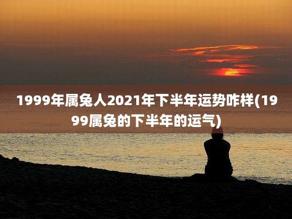 1999年属兔人2021年下半年运势咋样(1999属兔的下半年的运气)