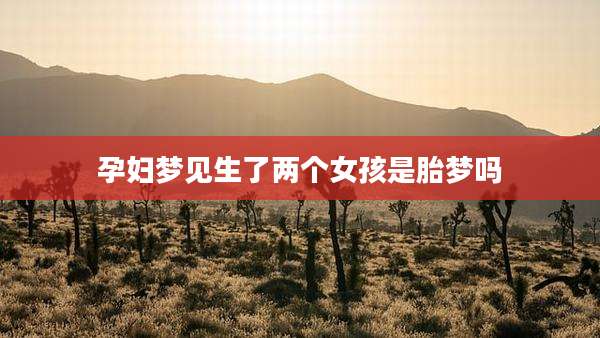 孕妇梦见生了两个女孩是胎梦吗