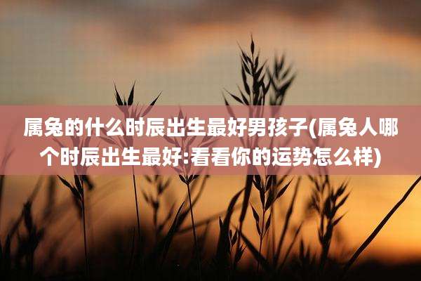 属兔的什么时辰出生最好男孩子(属兔人哪个时辰出生最好:看看你的运势怎么样)