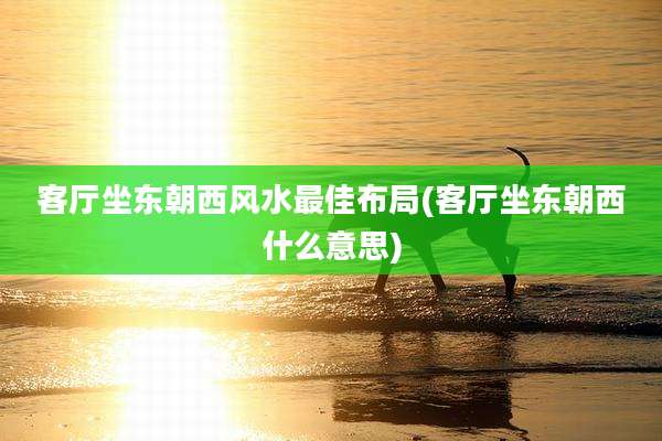 客厅坐东朝西风水最佳布局(客厅坐东朝西什么意思)