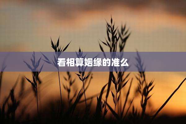 看相算姻缘的准么