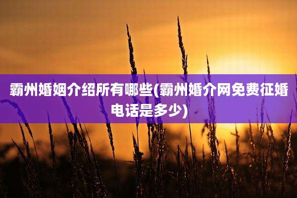 霸州婚姻介绍所有哪些(霸州婚介网免费征婚电话是多少)