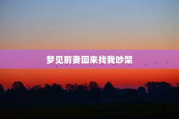 梦见前妻回来找我吵架