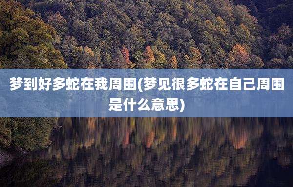 梦到好多蛇在我周围(梦见很多蛇在自己周围是什么意思)