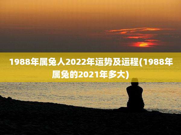 1988年属兔人2022年运势及运程(1988年属兔的2021年多大)