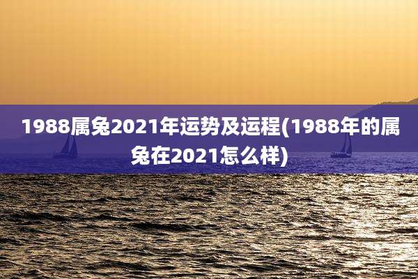 1988属兔2021年运势及运程(1988年的属兔在2021怎么样)