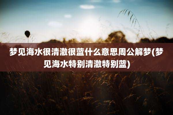 梦见海水很清澈很蓝什么意思周公解梦(梦见海水特别清澈特别蓝)
