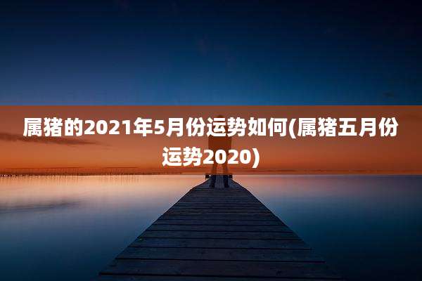 属猪的2021年5月份运势如何(属猪五月份运势2020)