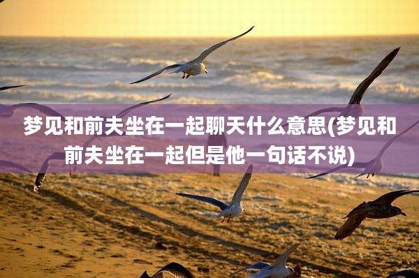 梦见和前夫坐在一起聊天什么意思(梦见和前夫坐在一起但是他一句话不说)