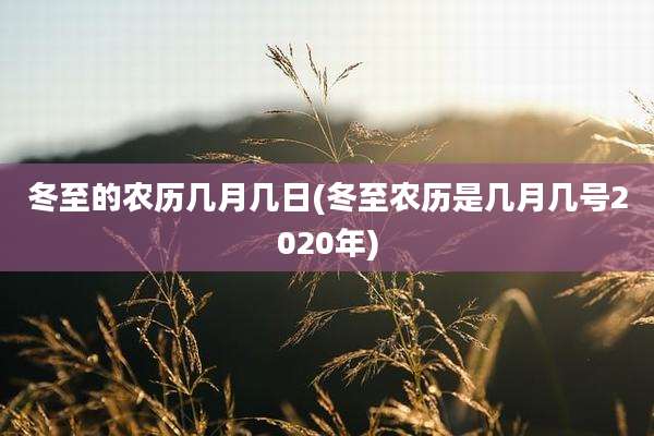 冬至的农历几月几日(冬至农历是几月几号2020年)