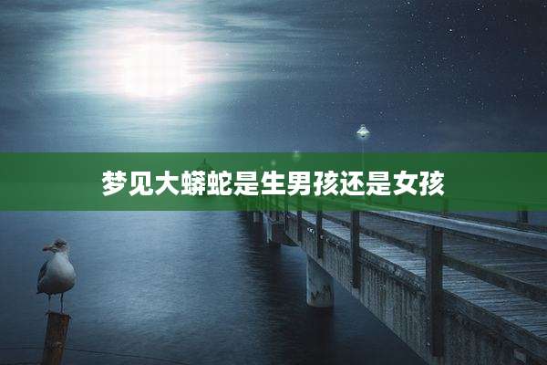 梦见大蟒蛇是生男孩还是女孩