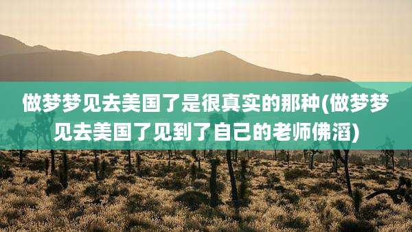 做梦梦见去美国了是很真实的那种(做梦梦见去美国了见到了自己的老师佛滔)