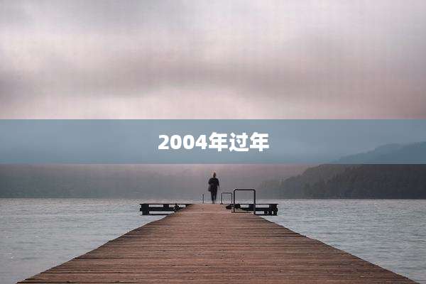2004年过年