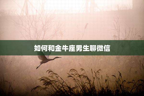如何和金牛座男生聊微信