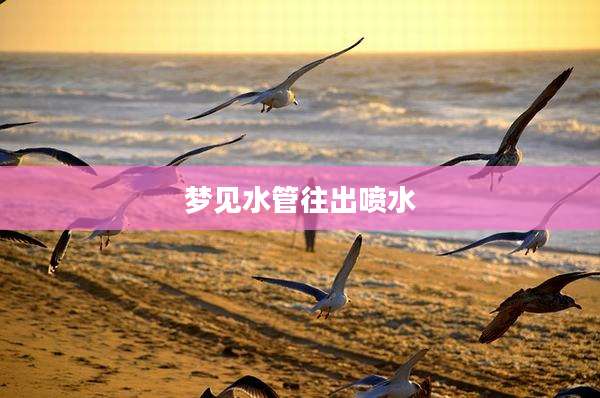 梦见水管往出喷水