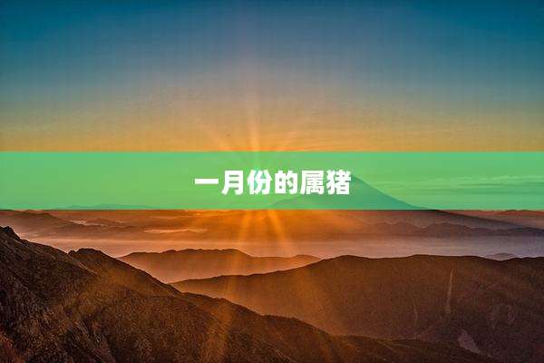一月份的属猪