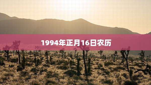 1994年正月16日农历
