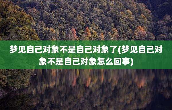 梦见自己对象不是自己对象了(梦见自己对象不是自己对象怎么回事)