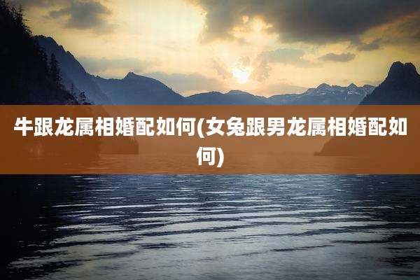 牛跟龙属相婚配如何(女兔跟男龙属相婚配如何)