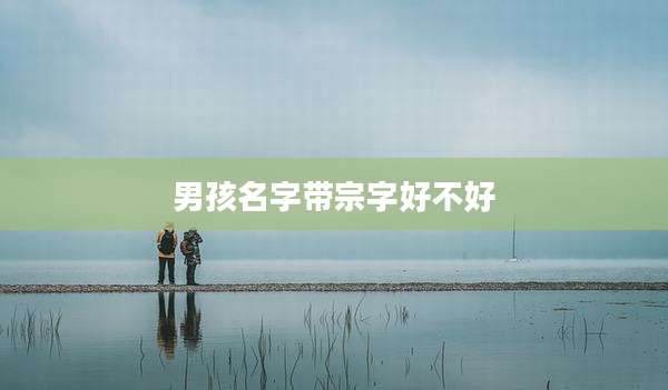 男孩名字带宗字好不好