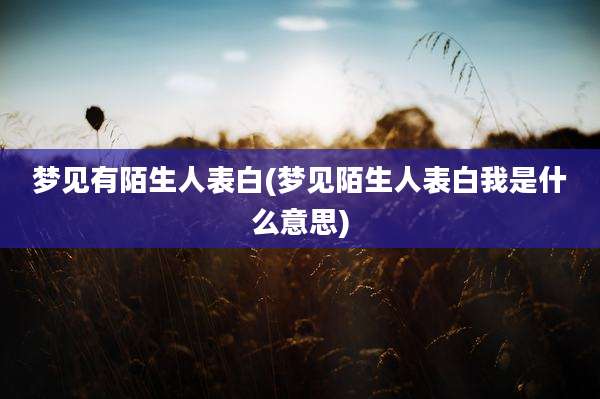 梦见有陌生人表白(梦见陌生人表白我是什么意思)
