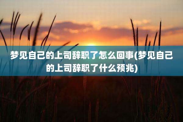 梦见自己的上司辞职了怎么回事(梦见自己的上司辞职了什么预兆)