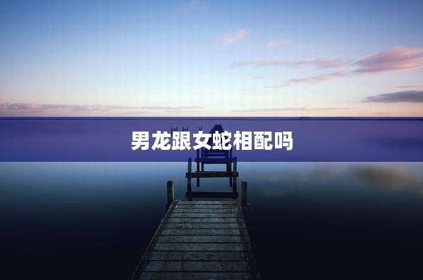 男龙跟女蛇相配吗
