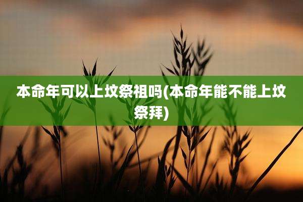 本命年可以上坟祭祖吗(本命年能不能上坟祭拜)