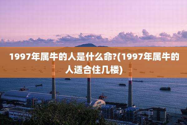 1997年属牛的人是什么命?(1997年属牛的人适合住几楼)