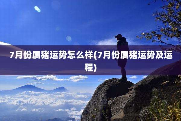 7月份属猪运势怎么样(7月份属猪运势及运程)