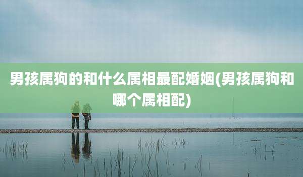 男孩属狗的和什么属相最配婚姻(男孩属狗和哪个属相配)
