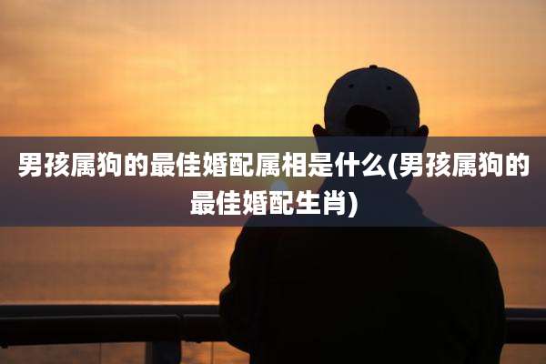 男孩属狗的最佳婚配属相是什么(男孩属狗的最佳婚配生肖)