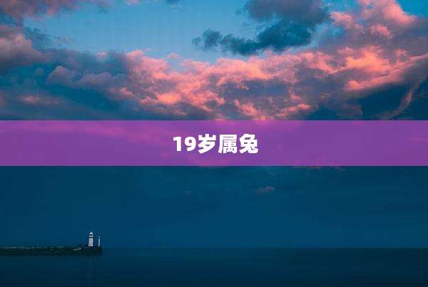 19岁属兔