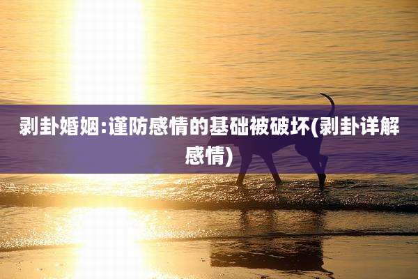 剥卦婚姻:谨防感情的基础被破坏(剥卦详解感情)