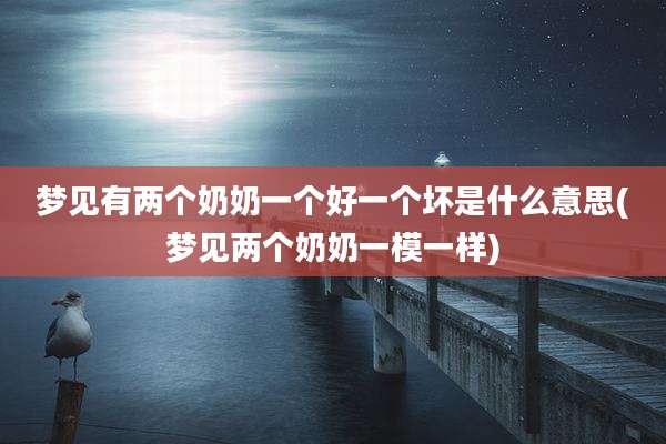 梦见有两个奶奶一个好一个坏是什么意思(梦见两个奶奶一模一样)