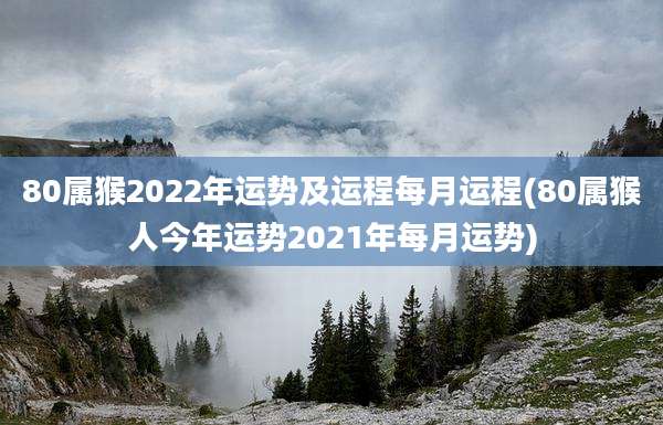80属猴2022年运势及运程每月运程(80属猴人今年运势2021年每月运势)