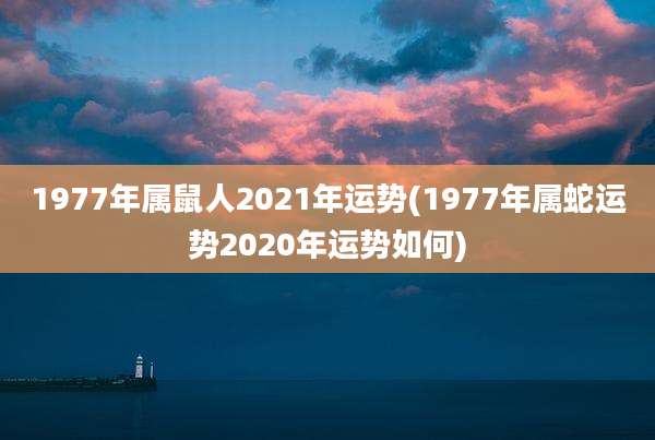 1977年属鼠人2021年运势(1977年属蛇运势2020年运势如何)