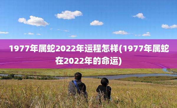 1977年属蛇2022年运程怎样(1977年属蛇在2022年的命运)