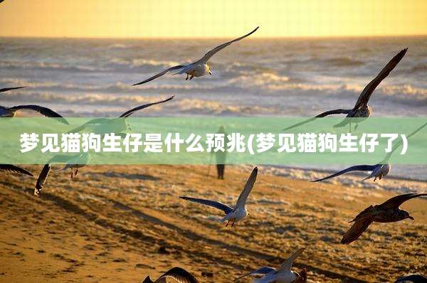 梦见猫狗生仔是什么预兆(梦见猫狗生仔了)