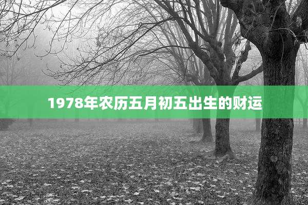 1978年农历五月初五出生的财运