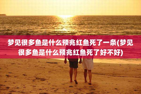 梦见很多鱼是什么预兆红鱼死了一条(梦见很多鱼是什么预兆红鱼死了好不好)