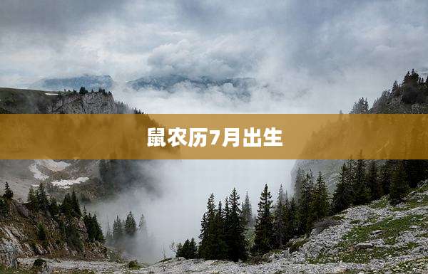 鼠农历7月出生