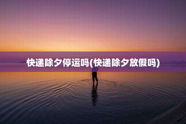 快递除夕停运吗(快递除夕放假吗)