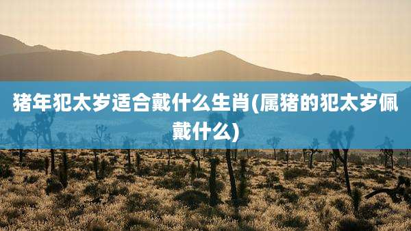 猪年犯太岁适合戴什么生肖(属猪的犯太岁佩戴什么)