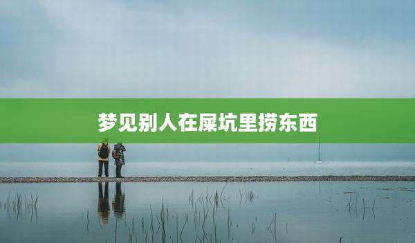 梦见别人在屎坑里捞东西