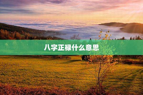 八字正禄什么意思