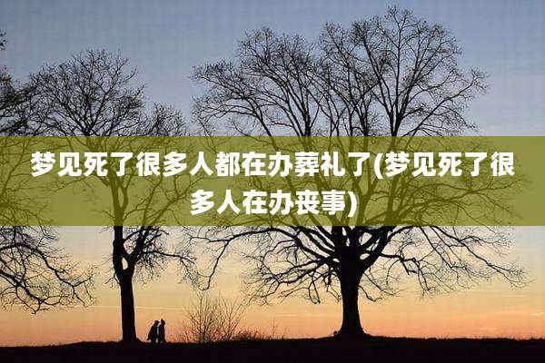 梦见死了很多人都在办葬礼了(梦见死了很多人在办丧事)