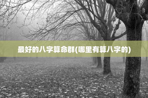 最好的八字算命群(哪里有算八字的)