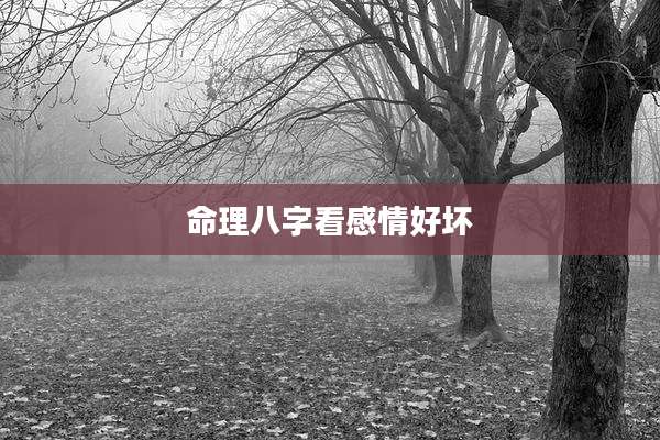 命理八字看感情好坏